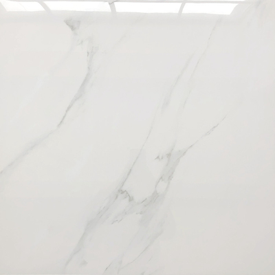 Porcelain Tiles 600x600 Floor Tiles Ceramic Micro Crystal White Wall Tiles for Import