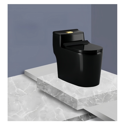 Installation Floor Mounted Dual Flushing Siphon Flush Black Ceramic One Piece Toilet