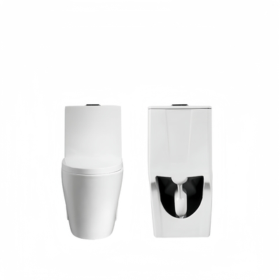 Slowly Seat Cover Dual-Flush Washdown One Piece White Ceramic Toilet with High Durability