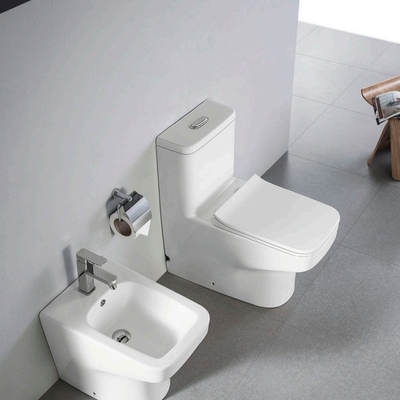 Chinese Luxury Ceramic Siphonic One-piece Color Matt Toilet with Buffer Cover Plate