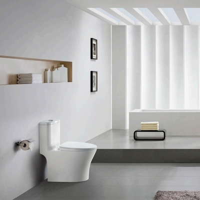 Public Siphonic One-Piece Toilet Ceramic Bathroom Sanitary Ware Washdown Classic Style