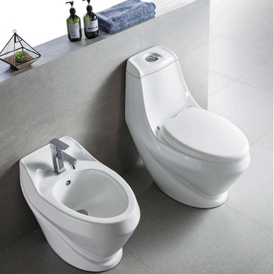 Front Automatic Wall hung toilet bidet with Accessories Flush Pipe Component 730x425x810mm