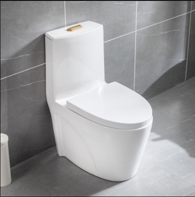 Advanced Function Water Pressure Adjustment One Piece Toilet Bowl Fitting 300mm 400mm