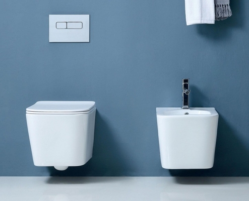 One Piece Hotel Sanitary Ware Wall Hung Toilet with Slowly Seat Cover P-trap Drainage